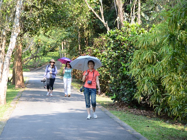 PhotoCap_356.jpg
