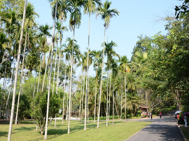 PhotoCap_355.jpg