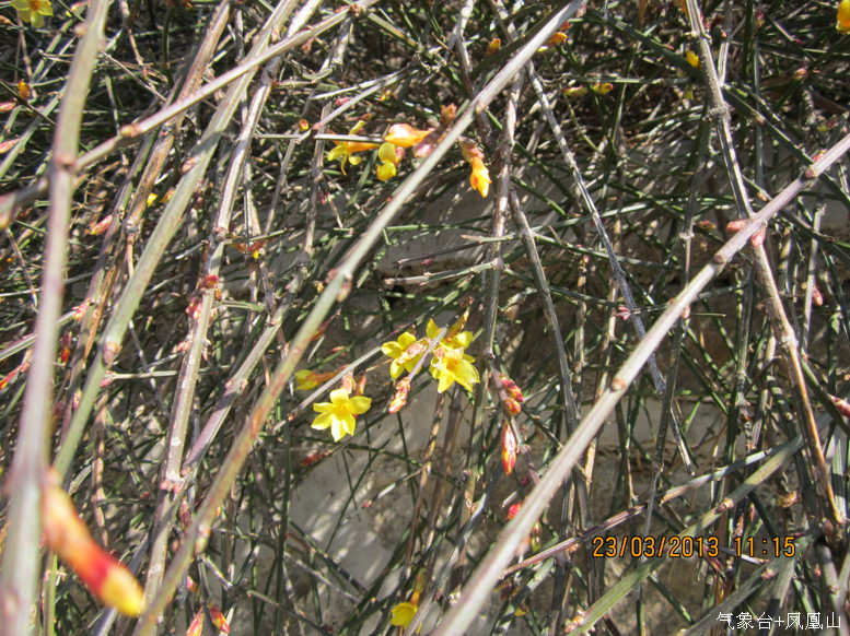 IMG_7668.jpg