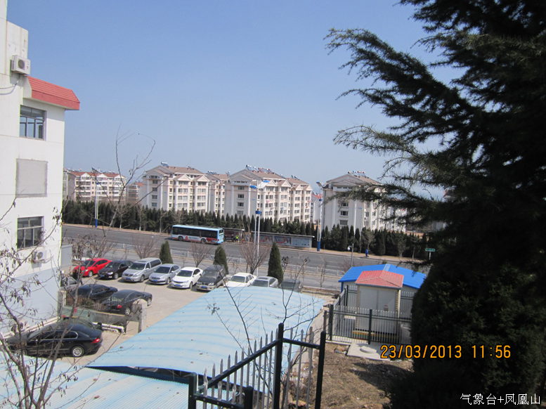 IMG_7751.jpg
