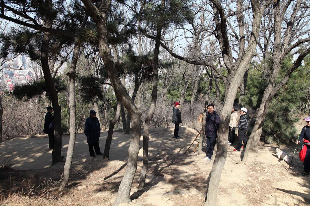 走南山遇彩驴，向学子荐前线 016.jpg