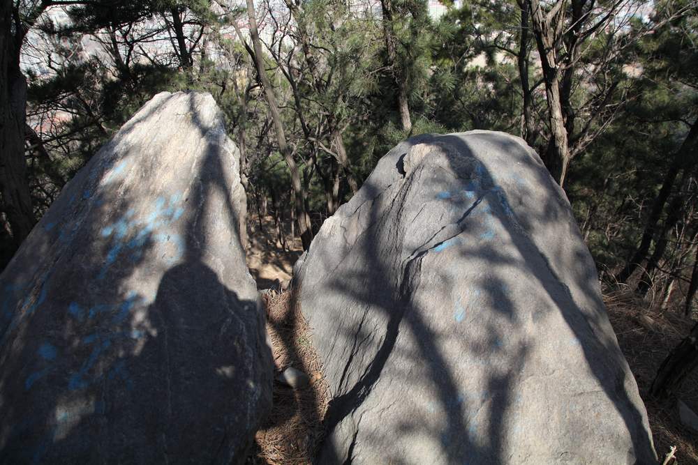 走南山遇彩驴，向学子荐前线 039.jpg