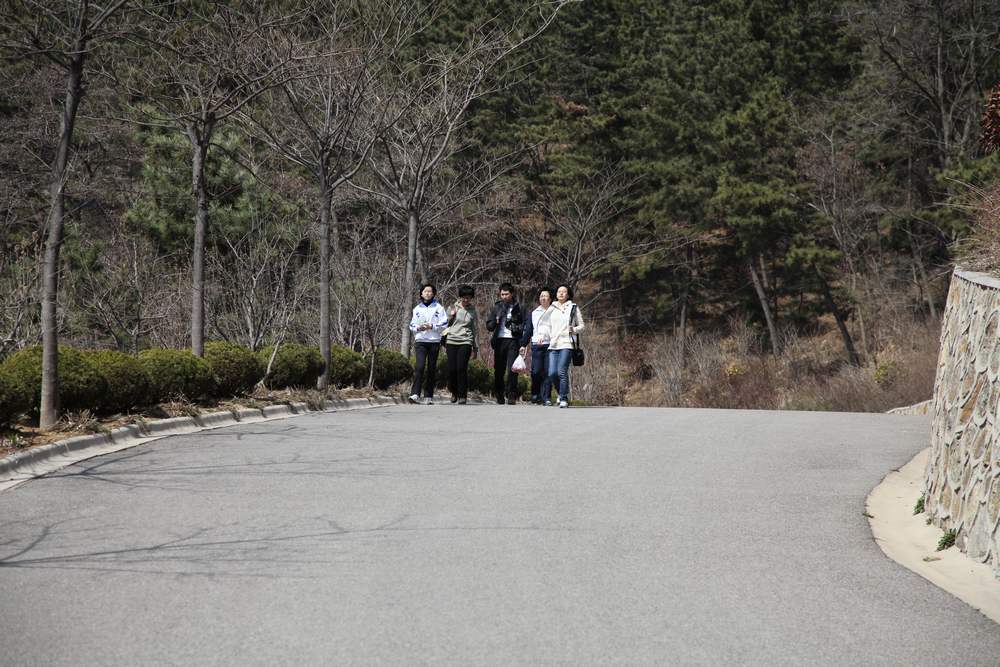 走南山遇彩驴，向学子荐前线 139.jpg