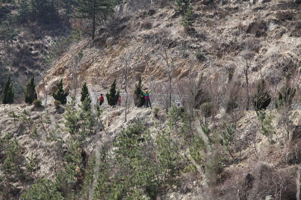 走南山遇彩驴，向学子荐前线 149.jpg