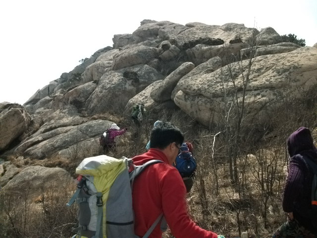 照片 141.jpg