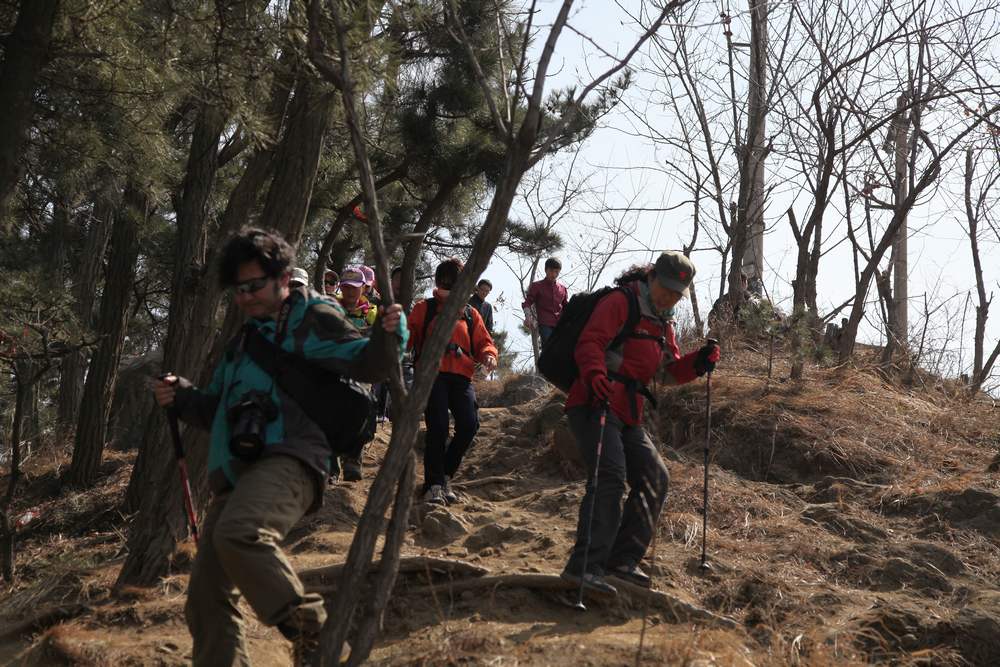 走南山遇彩驴，向学子荐前线 229.jpg