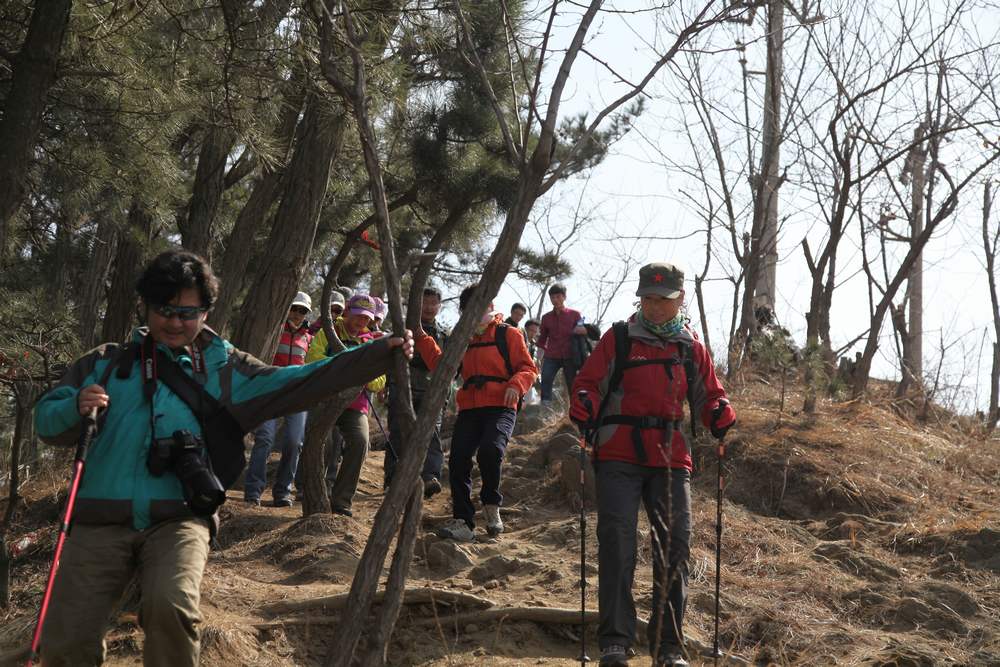 走南山遇彩驴，向学子荐前线 230.jpg