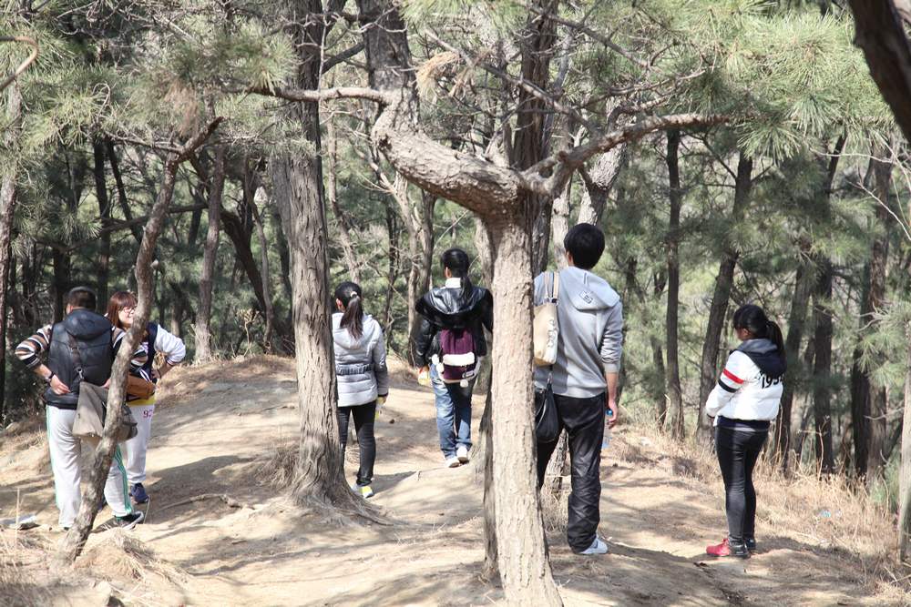 走南山遇彩驴，向学子荐前线 231.jpg