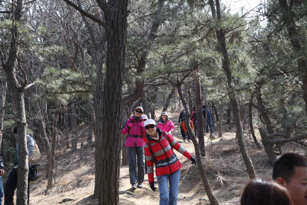 走南山遇彩驴，向学子荐前线 242.jpg