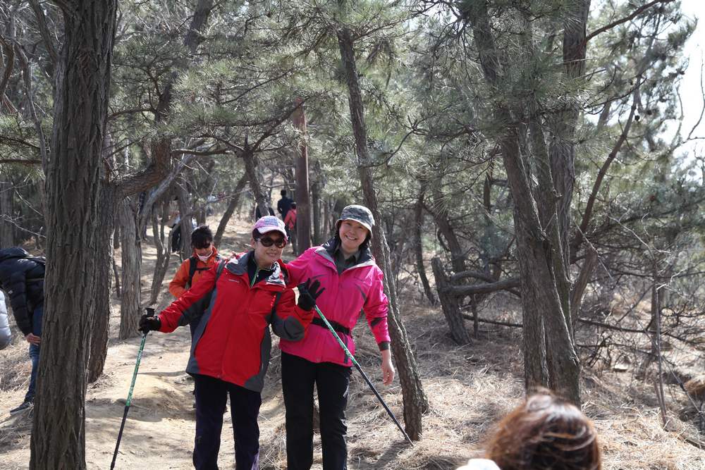 走南山遇彩驴，向学子荐前线 251.jpg