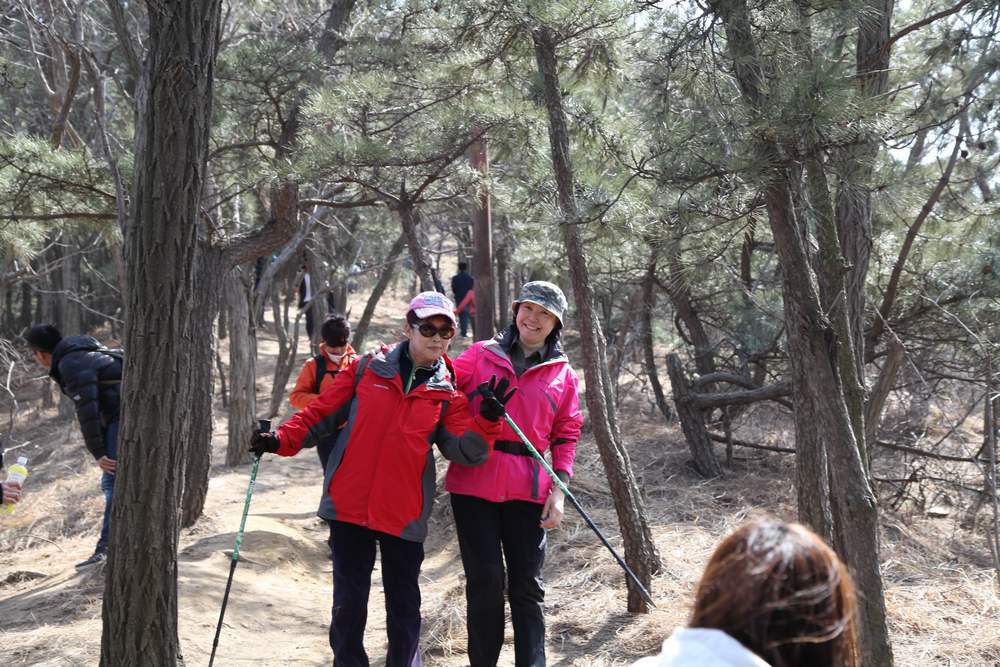 走南山遇彩驴，向学子荐前线 250.jpg