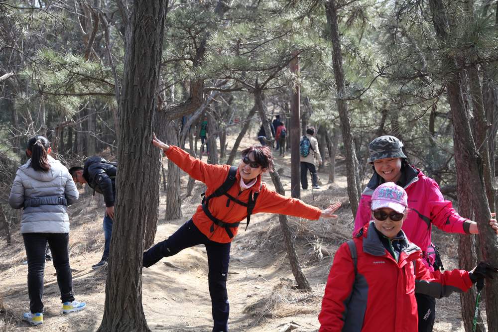 走南山遇彩驴，向学子荐前线 252.jpg