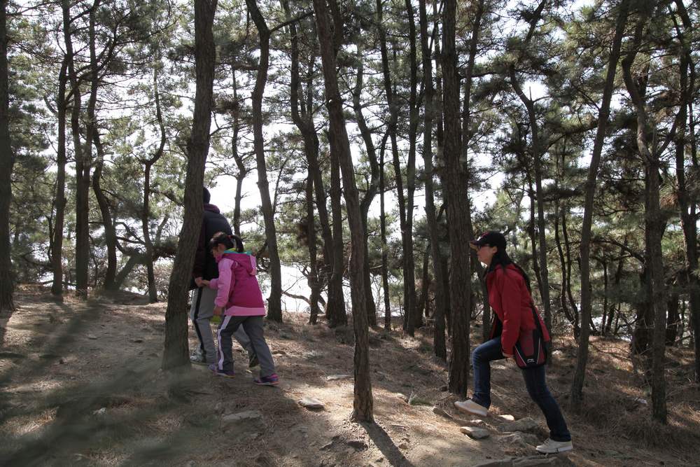 走南山遇彩驴，向学子荐前线 254.jpg