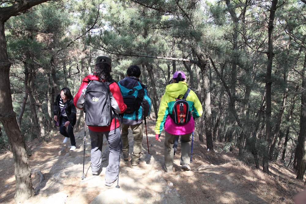 走南山遇彩驴，向学子荐前线 255.jpg