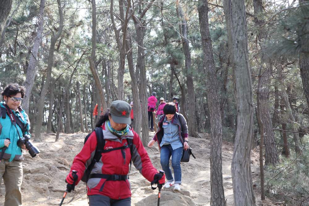 走南山遇彩驴，向学子荐前线 262.jpg
