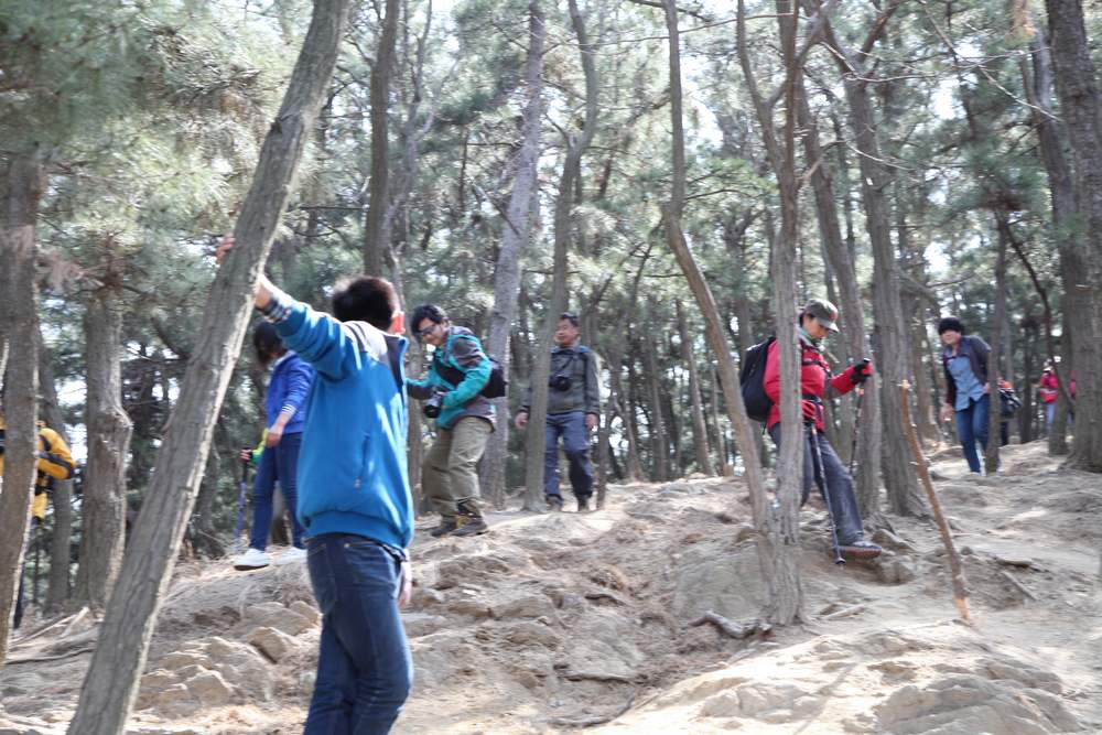走南山遇彩驴，向学子荐前线 258.jpg