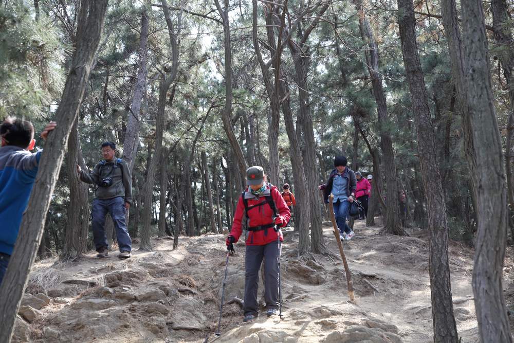 走南山遇彩驴，向学子荐前线 259.jpg