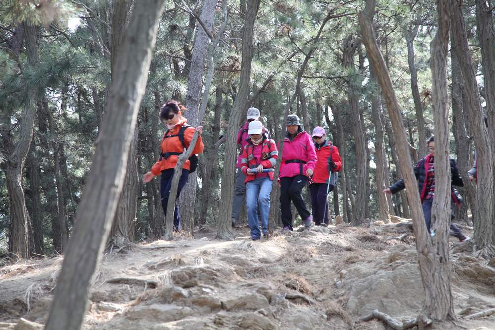 走南山遇彩驴，向学子荐前线 263.jpg