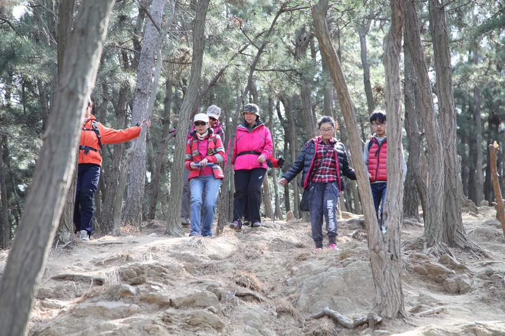 走南山遇彩驴，向学子荐前线 264.jpg