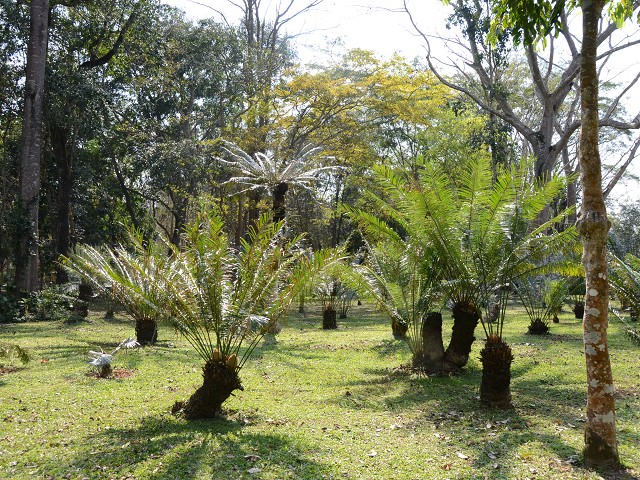 PhotoCap_359.jpg