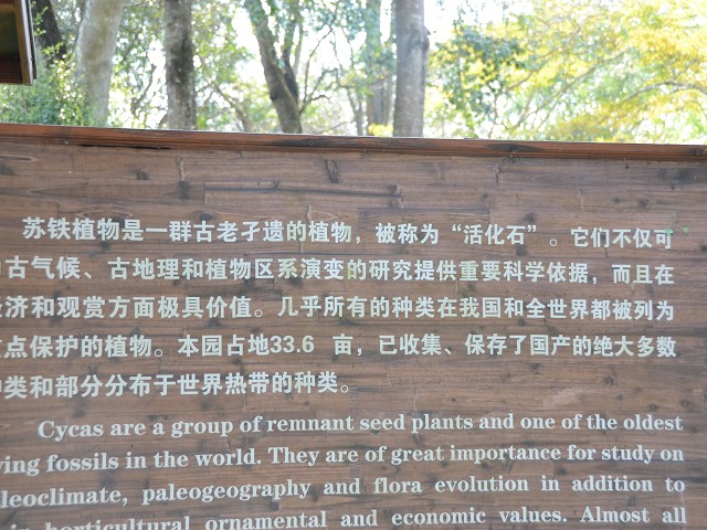 PhotoCap_370.jpg
