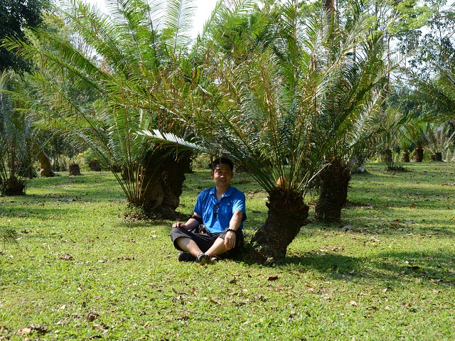 PhotoCap_369.jpg
