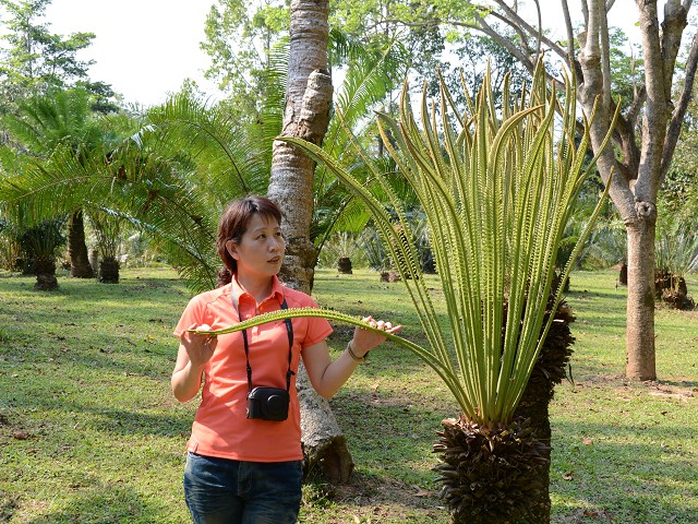 PhotoCap_367.jpg