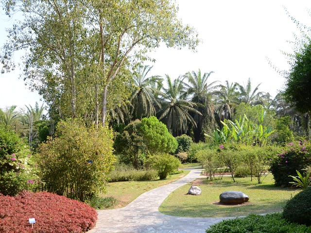 PhotoCap_373.jpg
