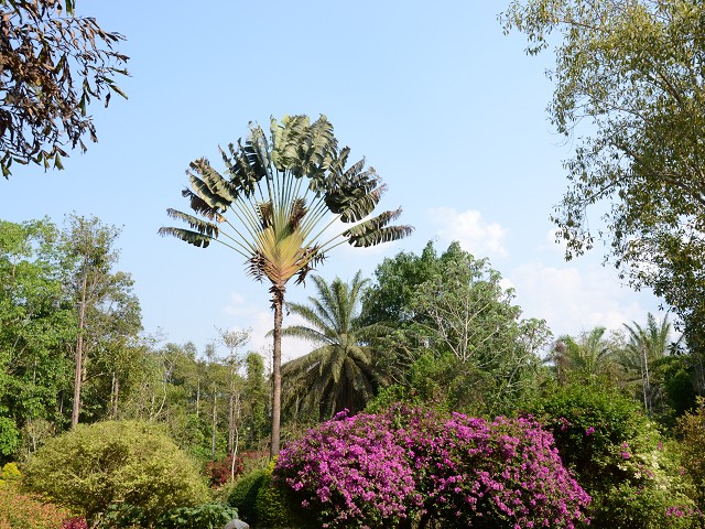 PhotoCap_374.jpg