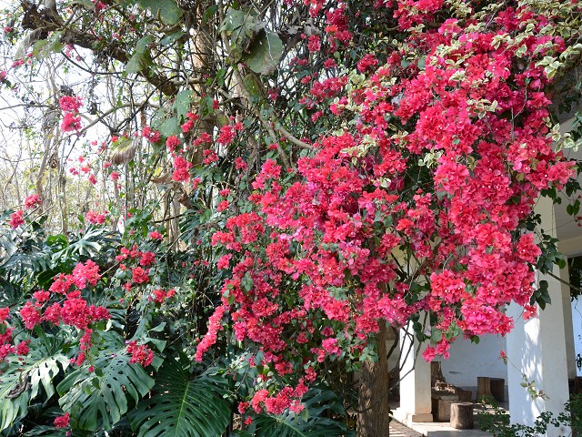 PhotoCap_381.jpg