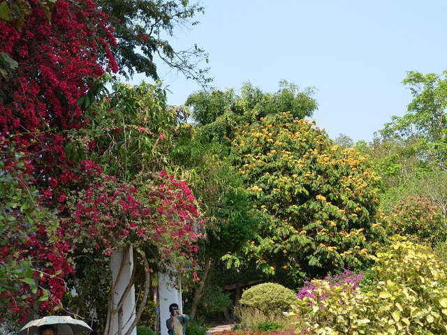 PhotoCap_391.jpg