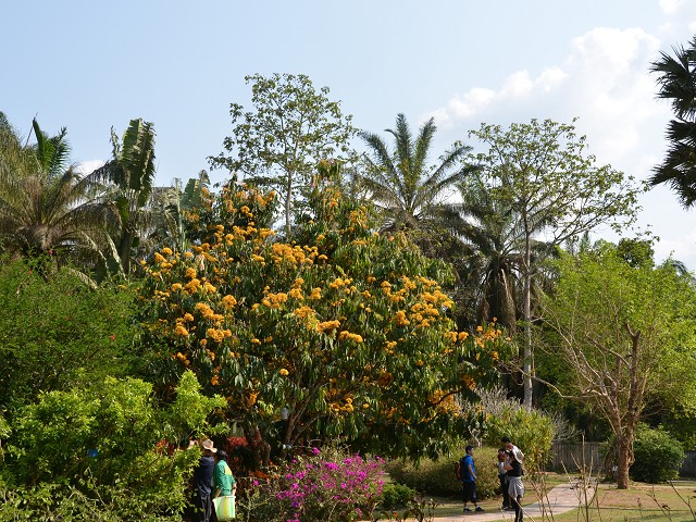 PhotoCap_395.jpg