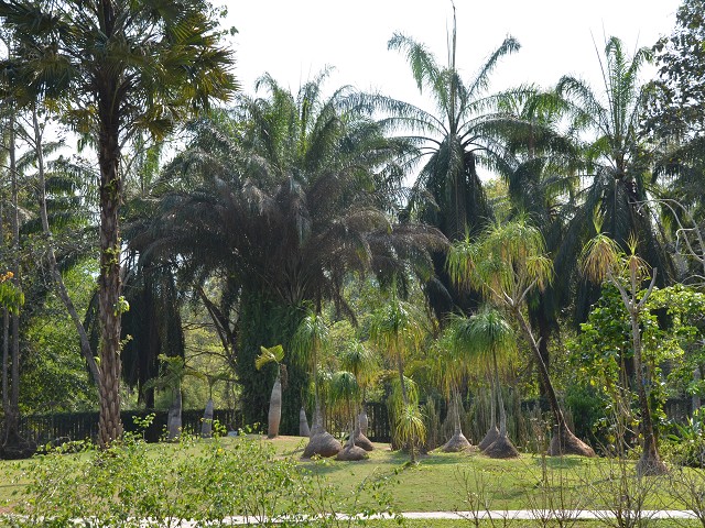 PhotoCap_392.jpg