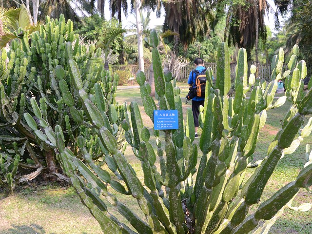 PhotoCap_412.jpg