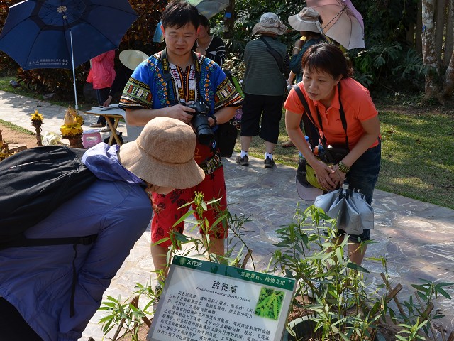 PhotoCap_394.jpg