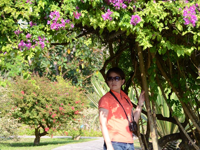 PhotoCap_437.jpg