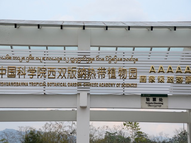 PhotoCap_451.jpg