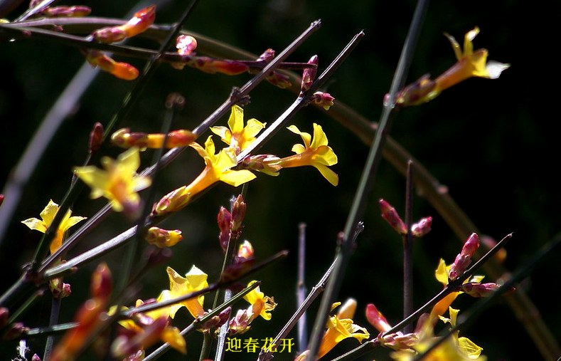122_6787_缩小大小.JPG