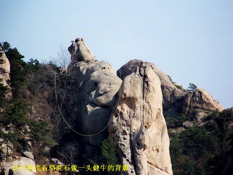 122_6775_缩小大小.JPG