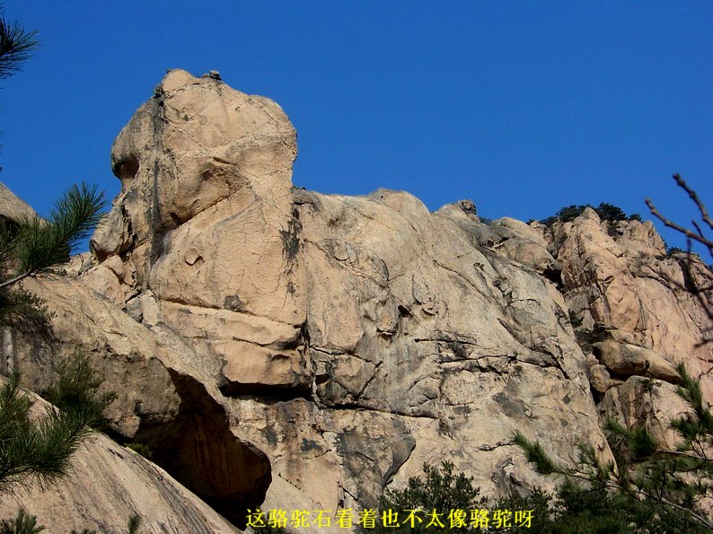 122_6785_缩小大小.JPG