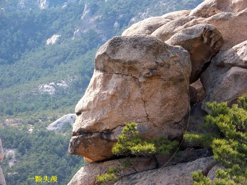 122_6802_缩小大小.JPG