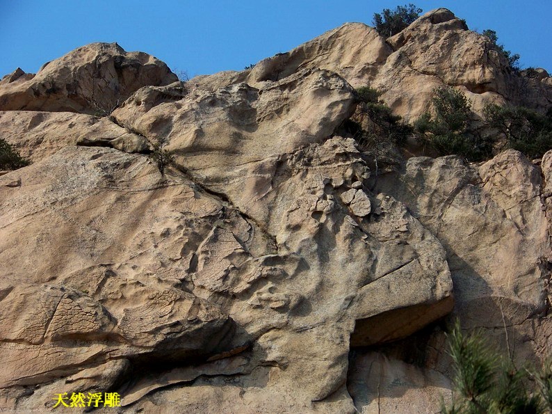 122_6826_缩小大小.JPG