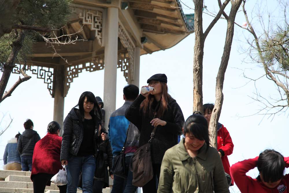 走南山遇彩驴，向学子荐前线 285.jpg