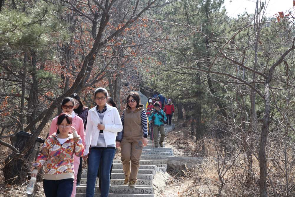 走南山遇彩驴，向学子荐前线 297.jpg