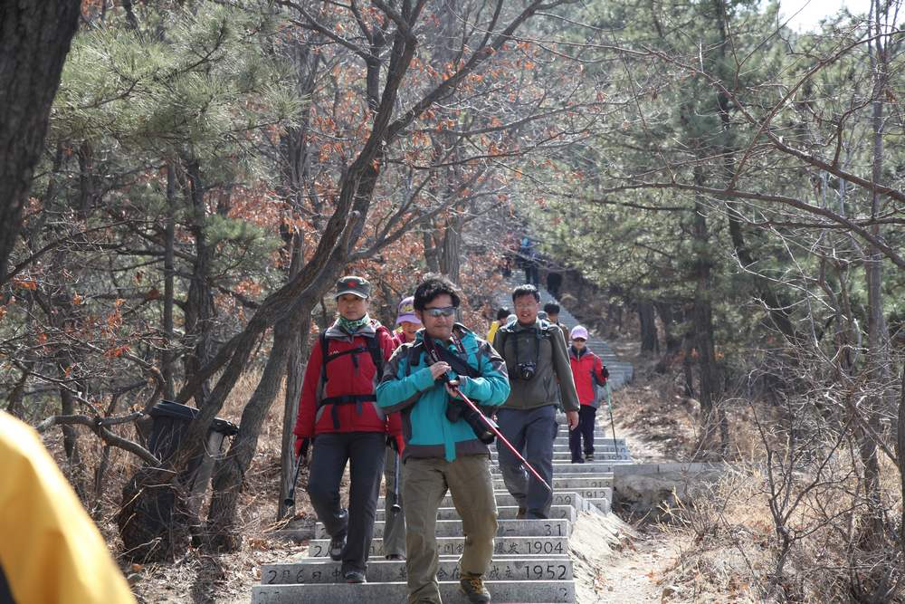 走南山遇彩驴，向学子荐前线 301.jpg