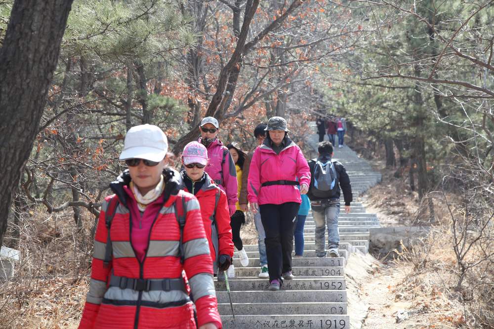 走南山遇彩驴，向学子荐前线 305.jpg
