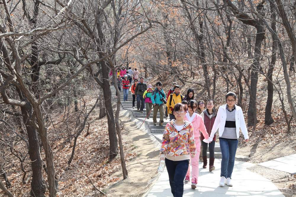 走南山遇彩驴，向学子荐前线 307.jpg