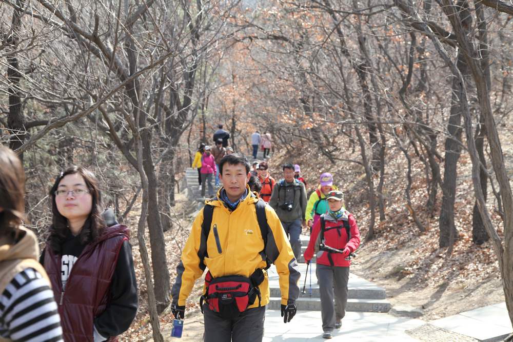 走南山遇彩驴，向学子荐前线 310.jpg