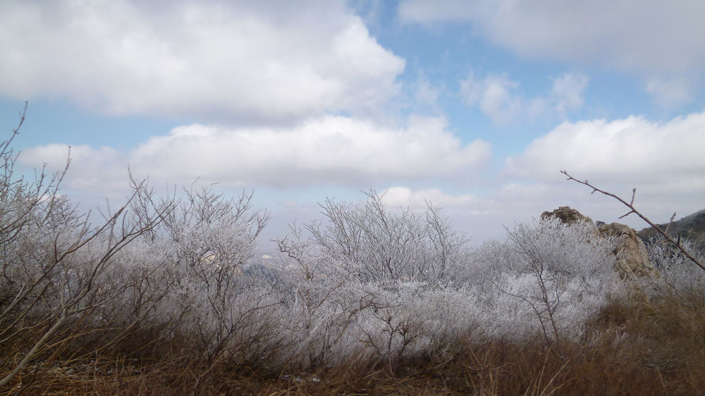 P1110794.jpg