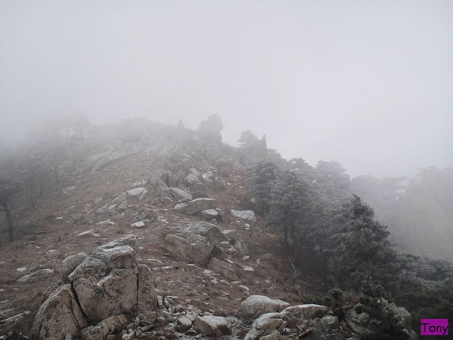 DSC02760.jpg